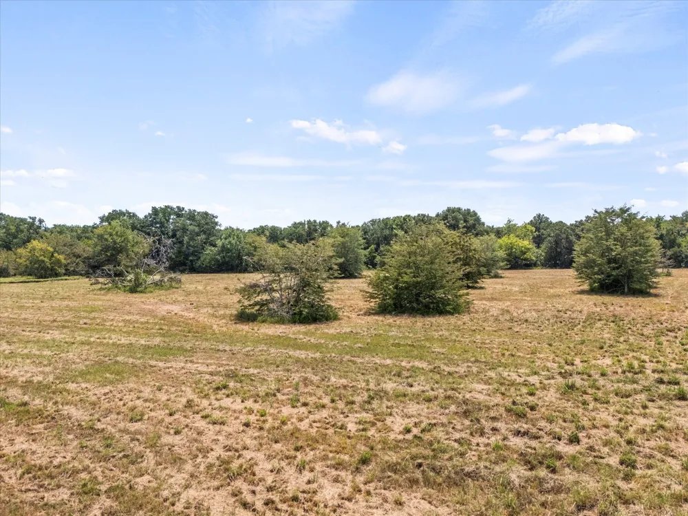 883 FM 1653 Ben Wheeler, TX 75754