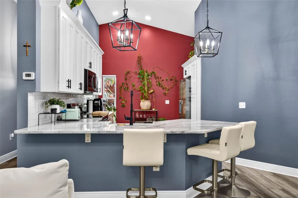 1721 SPLIT FORK DRIVE Oldsmar, FL 34677