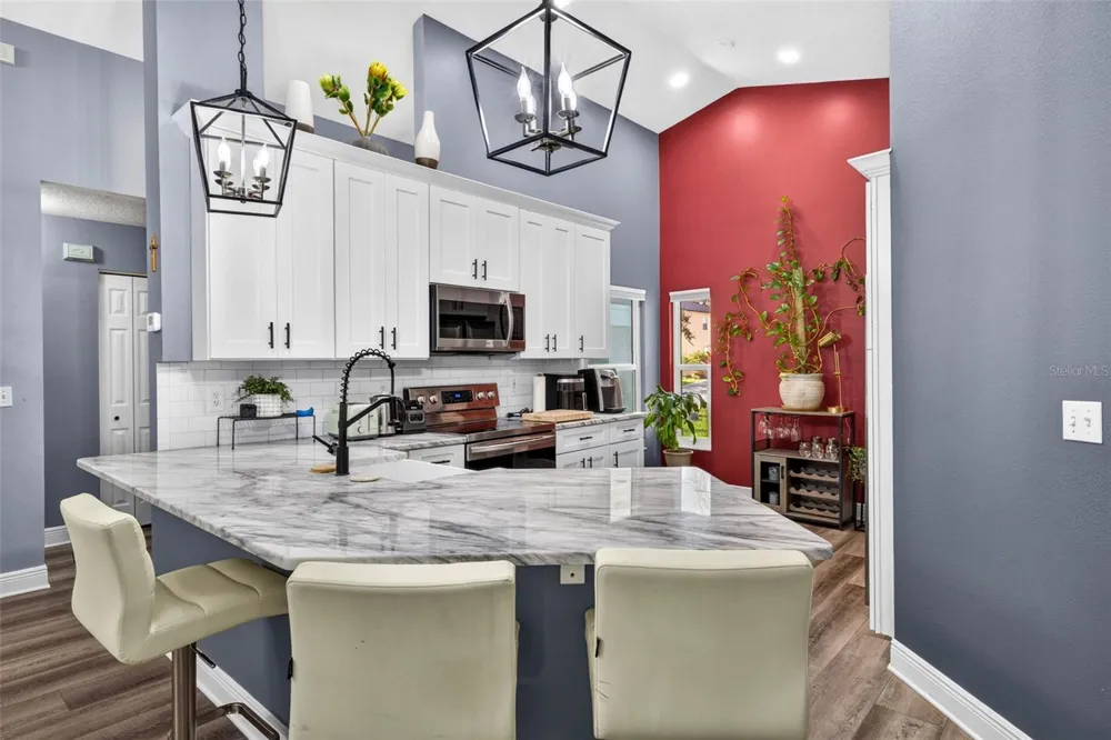 1721 SPLIT FORK DRIVE Oldsmar, FL 34677