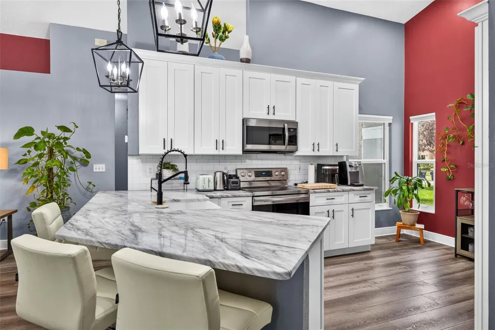 1721 SPLIT FORK DRIVE Oldsmar, FL 34677