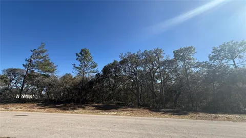 LOT 11 MARION OAKS PASS
