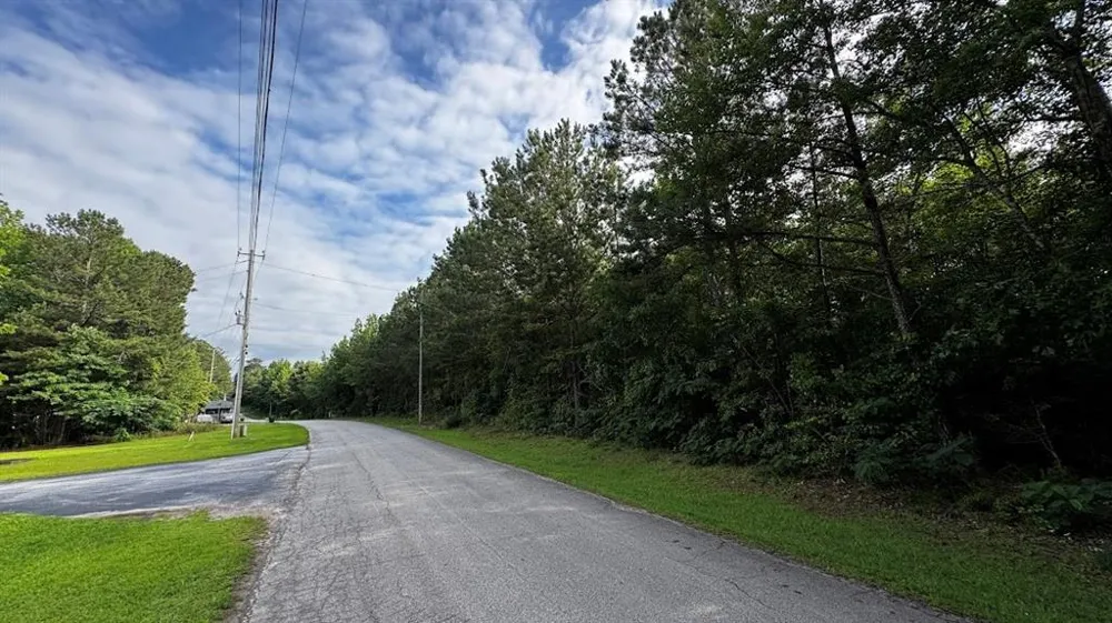 98 Clayton Drive Bremen, GA 30110