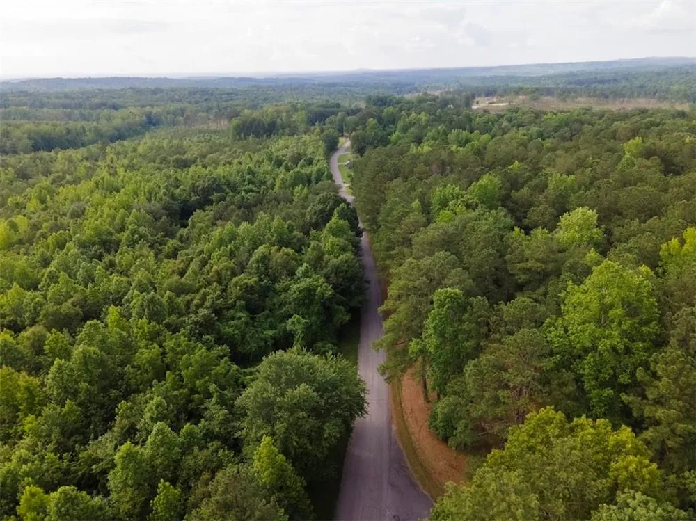 98 Clayton Drive Bremen, GA 30110