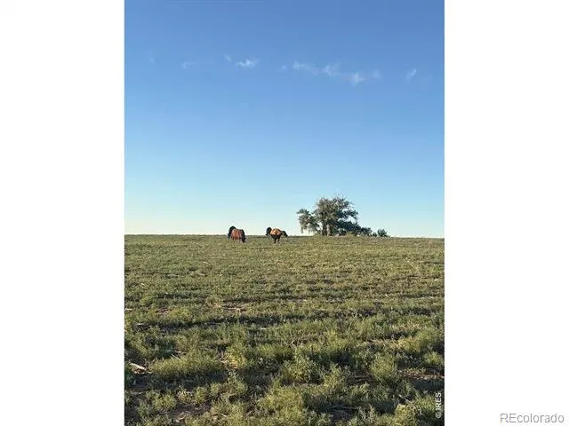 0 County Road 35 #B Platteville, CO 80651