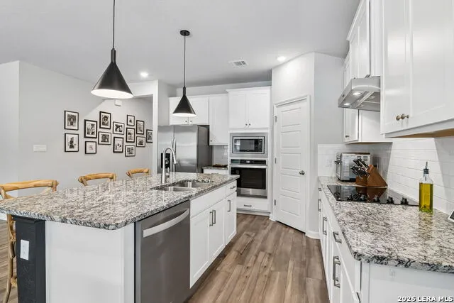 10738 YELLOWTAIL BLVD Boerne, TX 78006