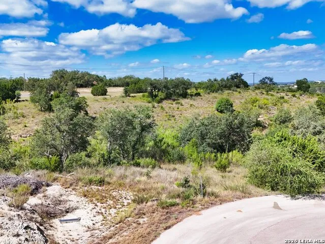 163 Zinnia Ave Canyon Lake, TX 78133