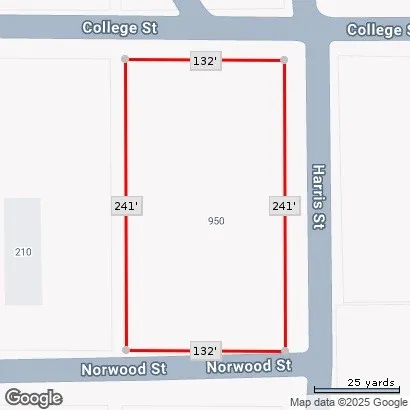 950 Harris Street Mingus, TX 76463