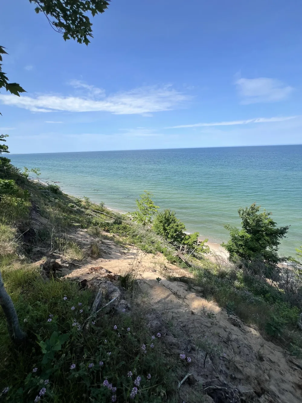 4650 W Fox Farm Road Manistee, MI 49660