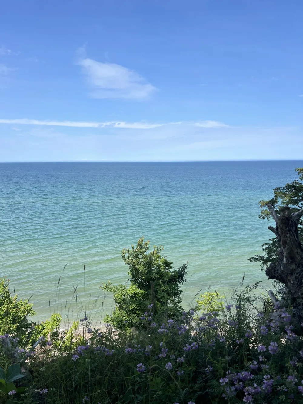 4650 W Fox Farm Road Manistee, MI 49660