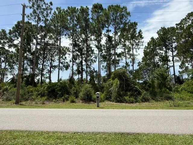 3607 Peugeot St Sebring, FL 33872
