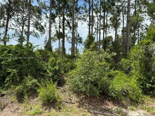 3607 Peugeot St Sebring, FL 33872