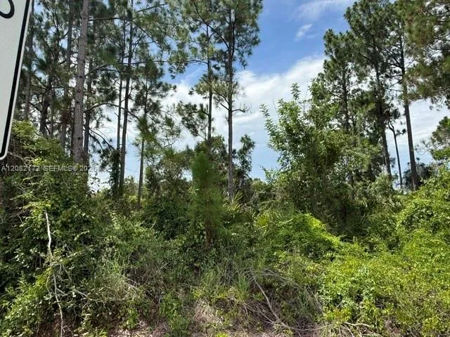 3607 Peugeot St Sebring, FL 33872