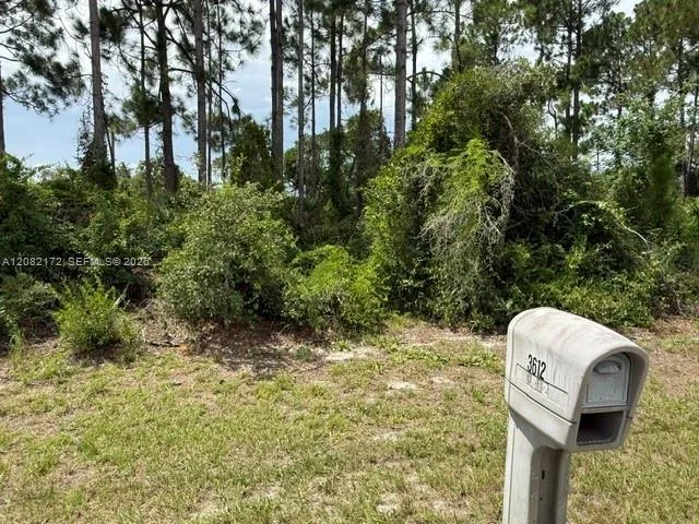 3607 Peugeot St Sebring, FL 33872
