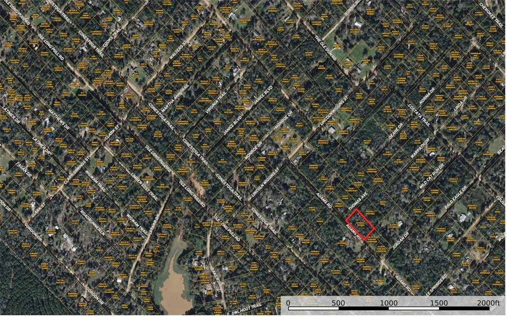 Thomas Avenue Livingston, TX 77351