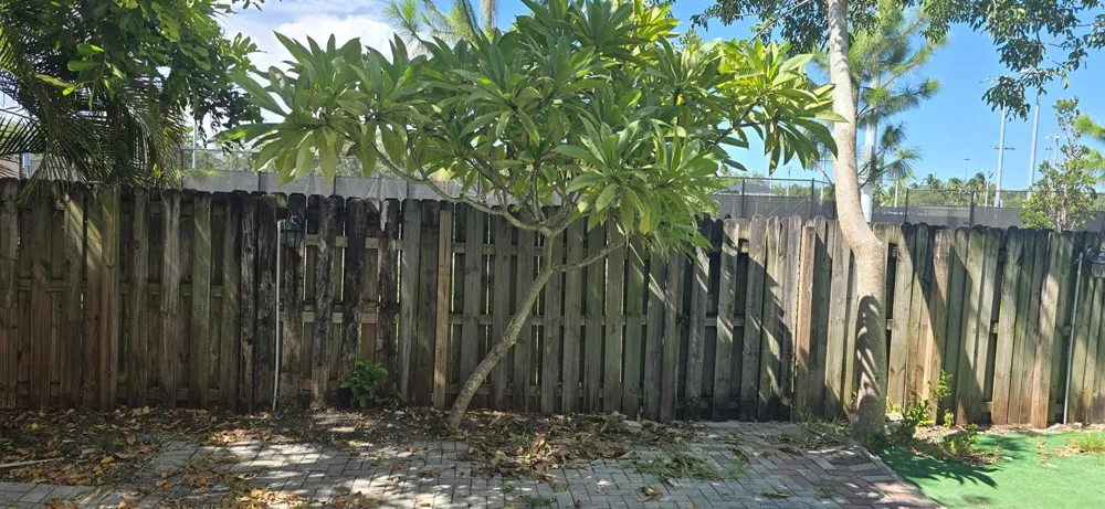 635 NE 11th Avenue Fort Lauderdale, FL 33304