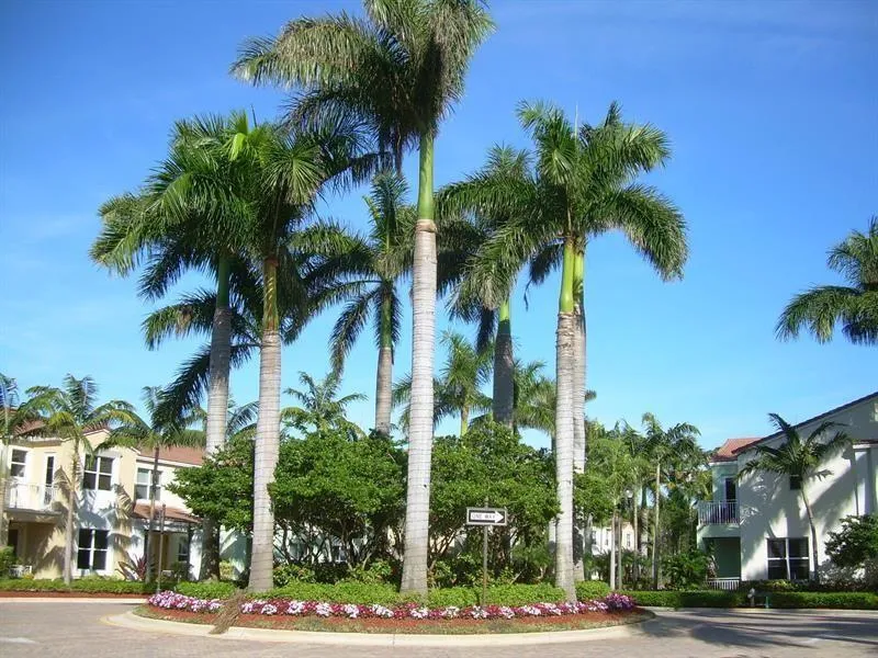 5011 NW 15TH TERRACE Boca Raton, FL 33431