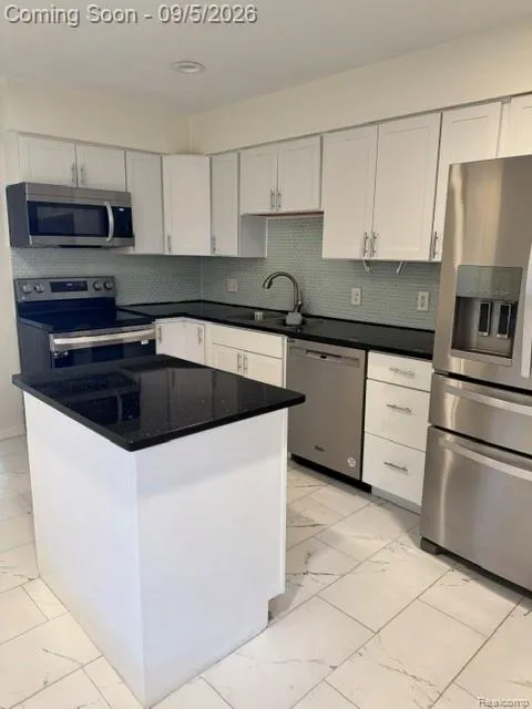 572 Tennyson Rochester Hills City, MI 48307