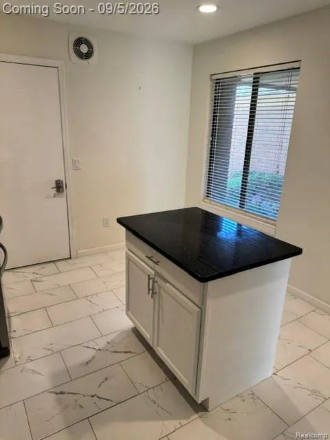572 Tennyson Rochester Hills City, MI 48307