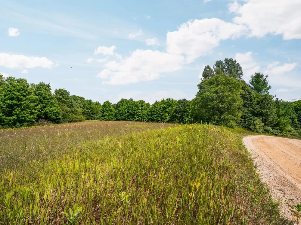 Huellmantel Lake Road Long Lake Township, MI 49685
