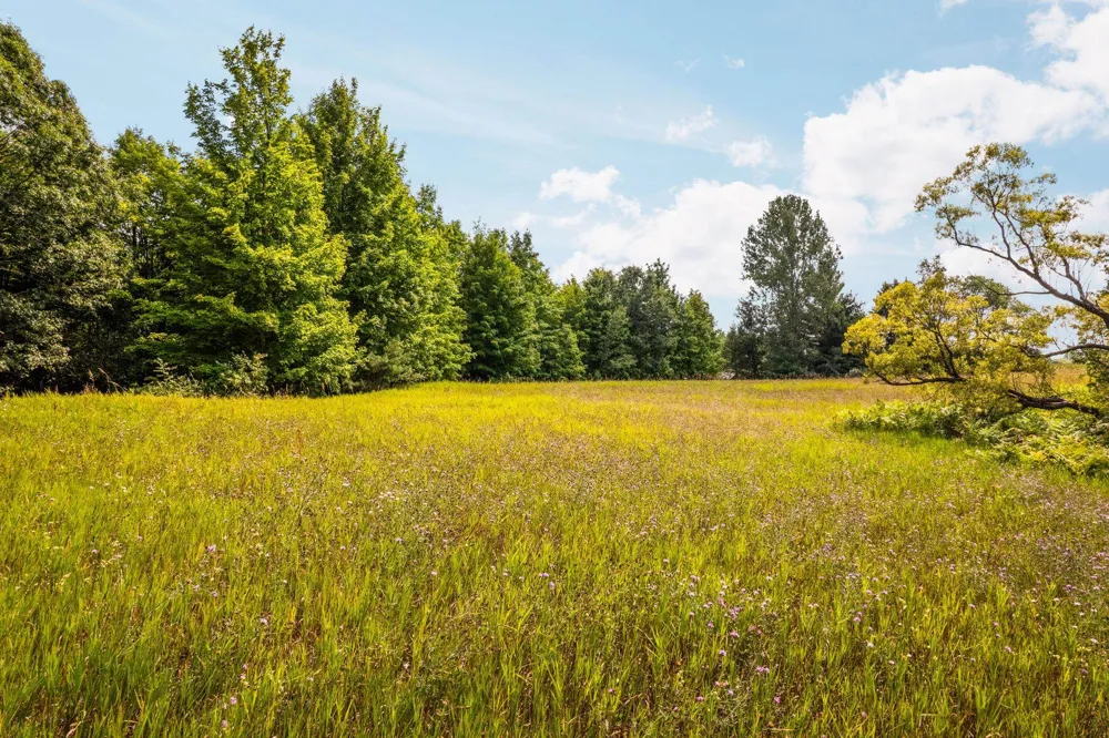 Huellmantel Lake Road Long Lake Township, MI 49685
