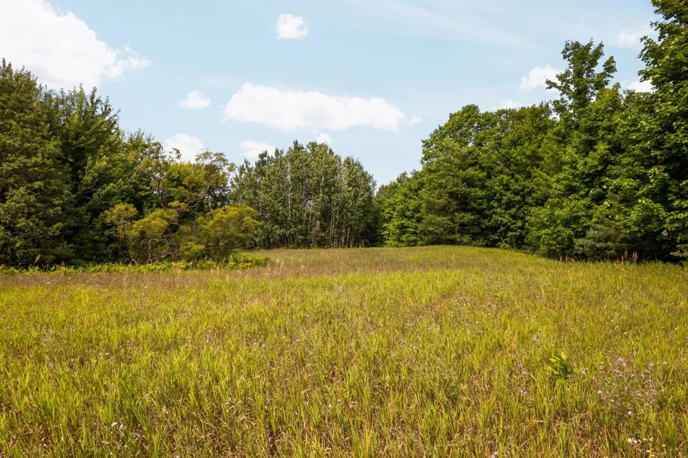 Huellmantel Lake Road Long Lake Township, MI 49685