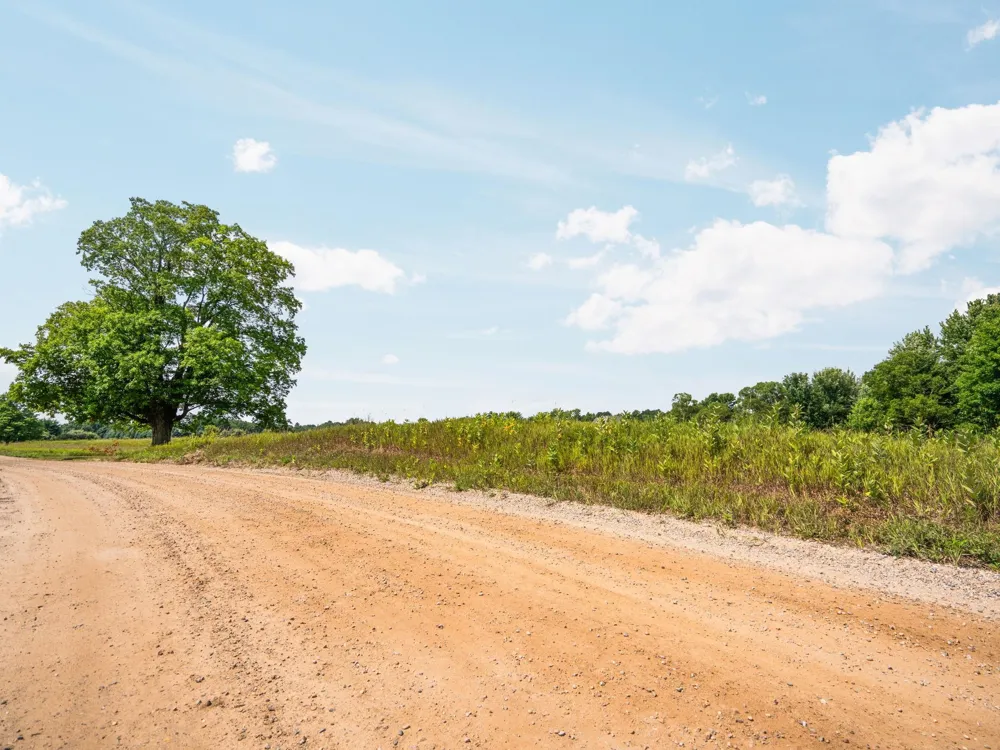 Huellmantel Lake Road Long Lake Township, MI 49685