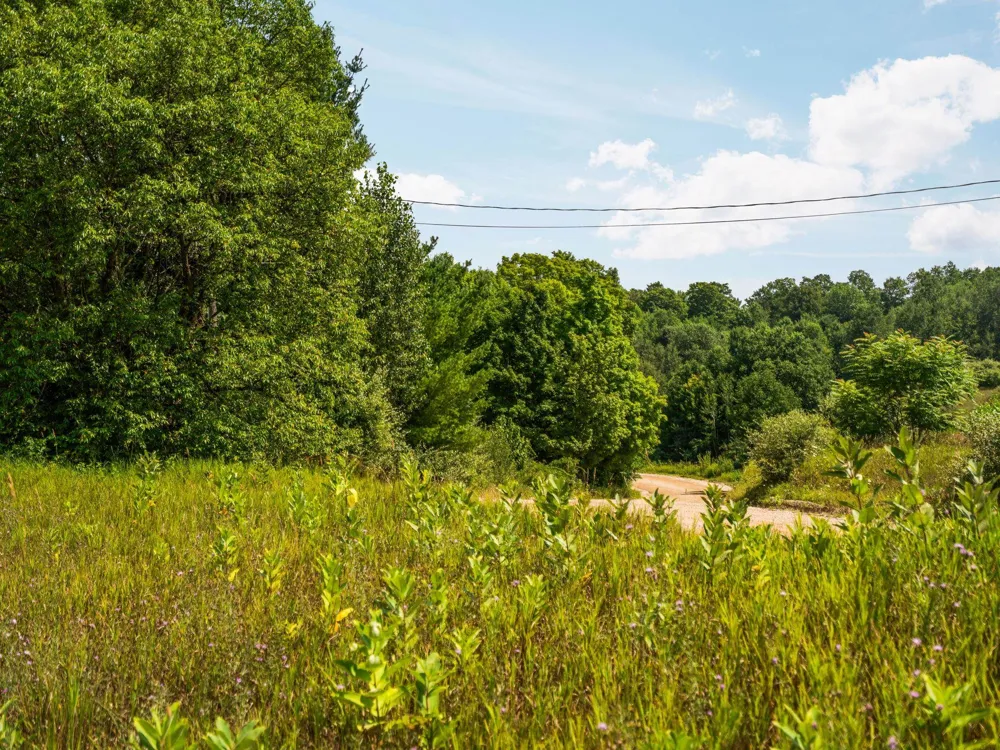 Huellmantel Lake Road Long Lake Township, MI 49685