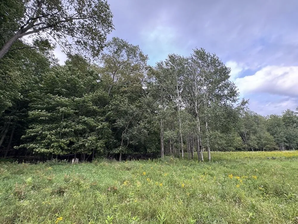 3305 S Coville Road Mikado Township, MI 48745