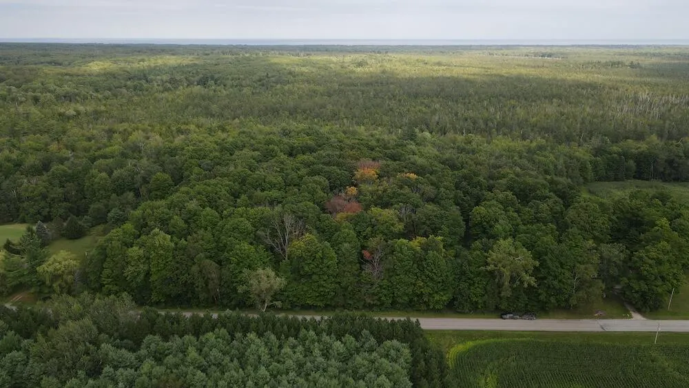 3305 S Coville Road Mikado Township, MI 48745