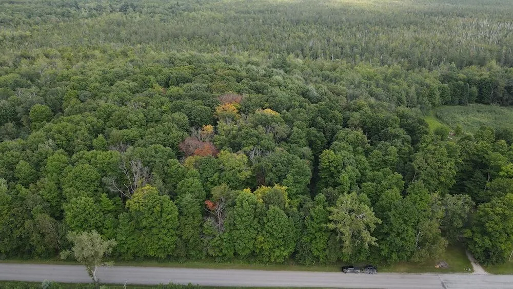 3305 S Coville Road Mikado Township, MI 48745