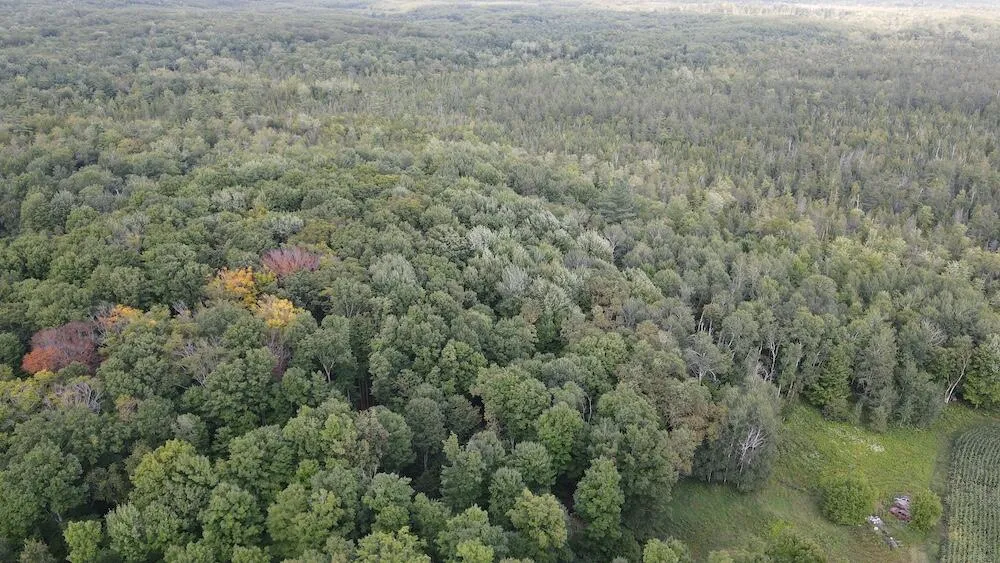 3305 S Coville Road Mikado Township, MI 48745