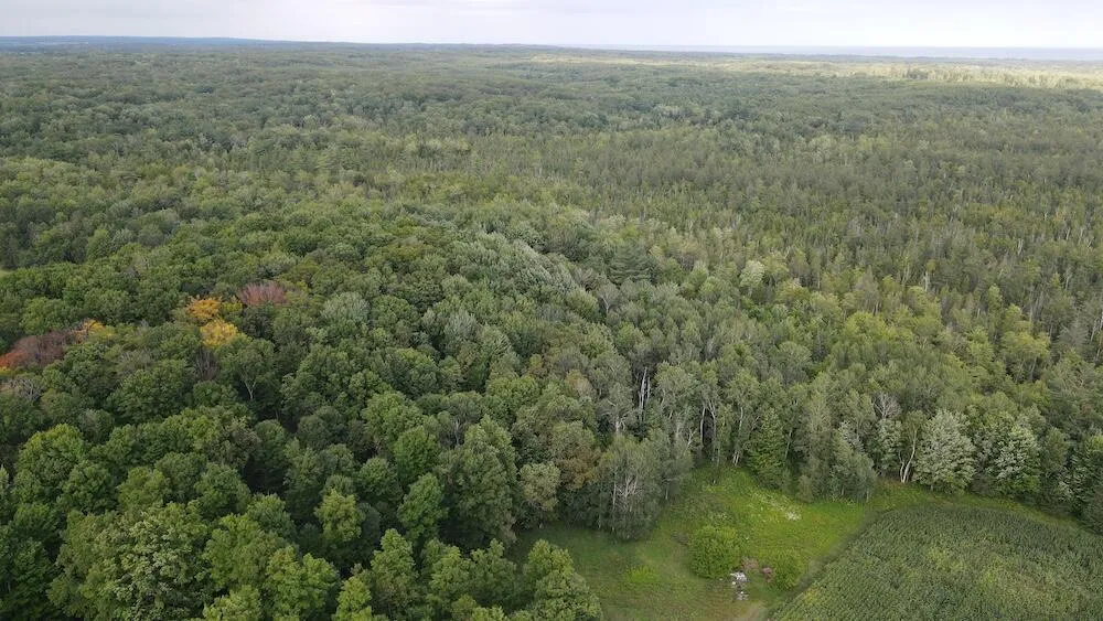 3305 S Coville Road Mikado Township, MI 48745