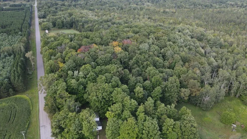 3305 S Coville Road Mikado Township, MI 48745