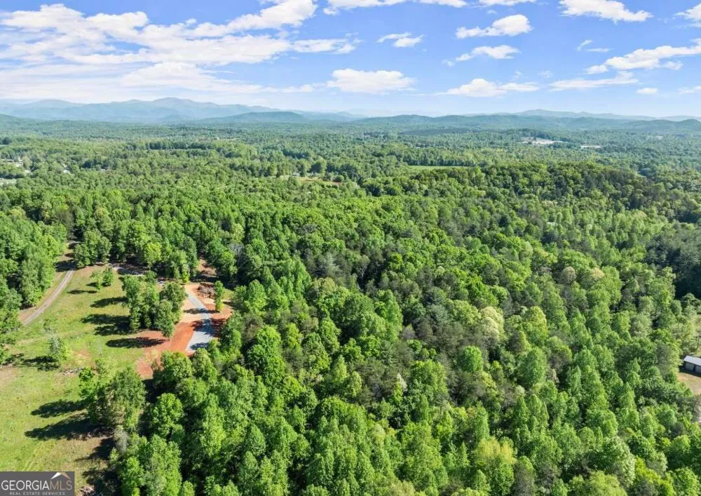 2239 Dean Mountain RD Cleveland, GA 30528