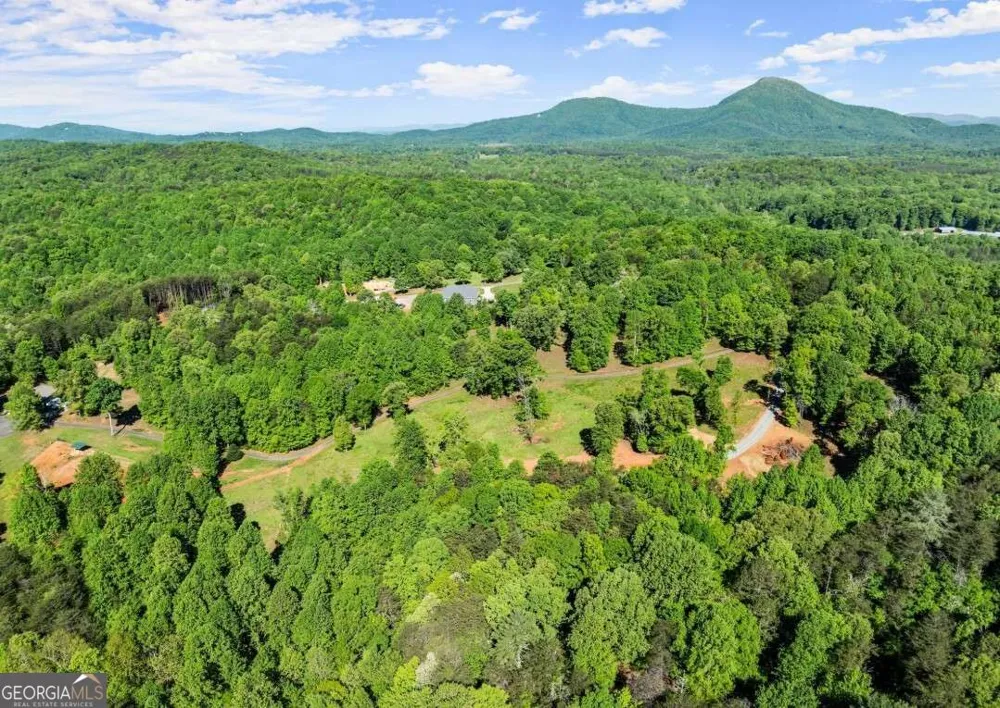 2239 Dean Mountain RD Cleveland, GA 30528