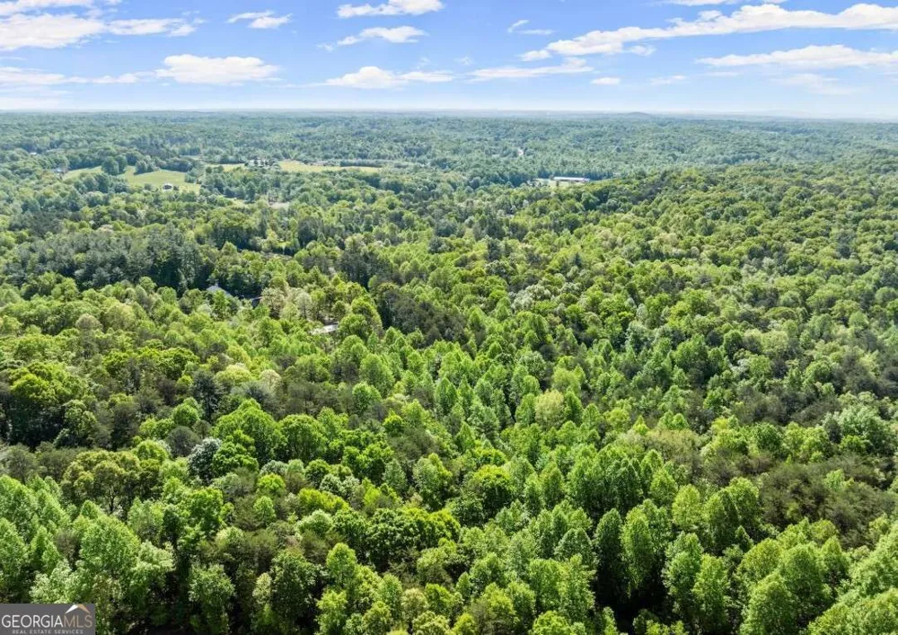 2239 Dean Mountain RD Cleveland, GA 30528