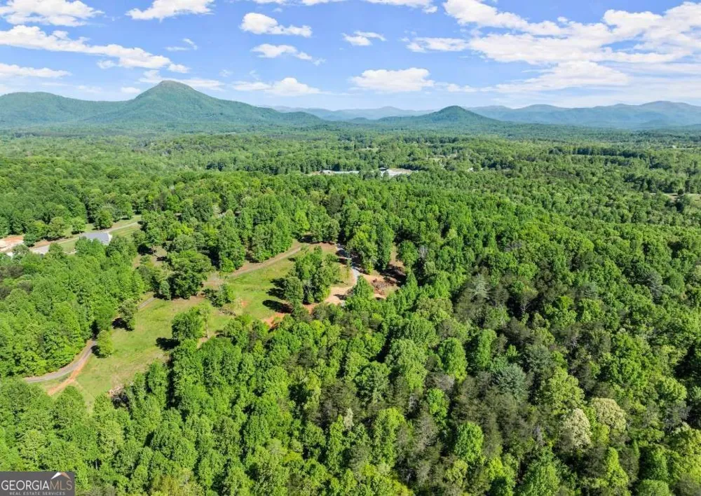2239 Dean Mountain RD Cleveland, GA 30528