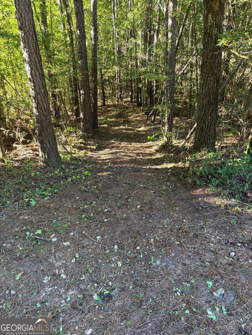 873 Oconee Forest RD Monticello, GA 31064