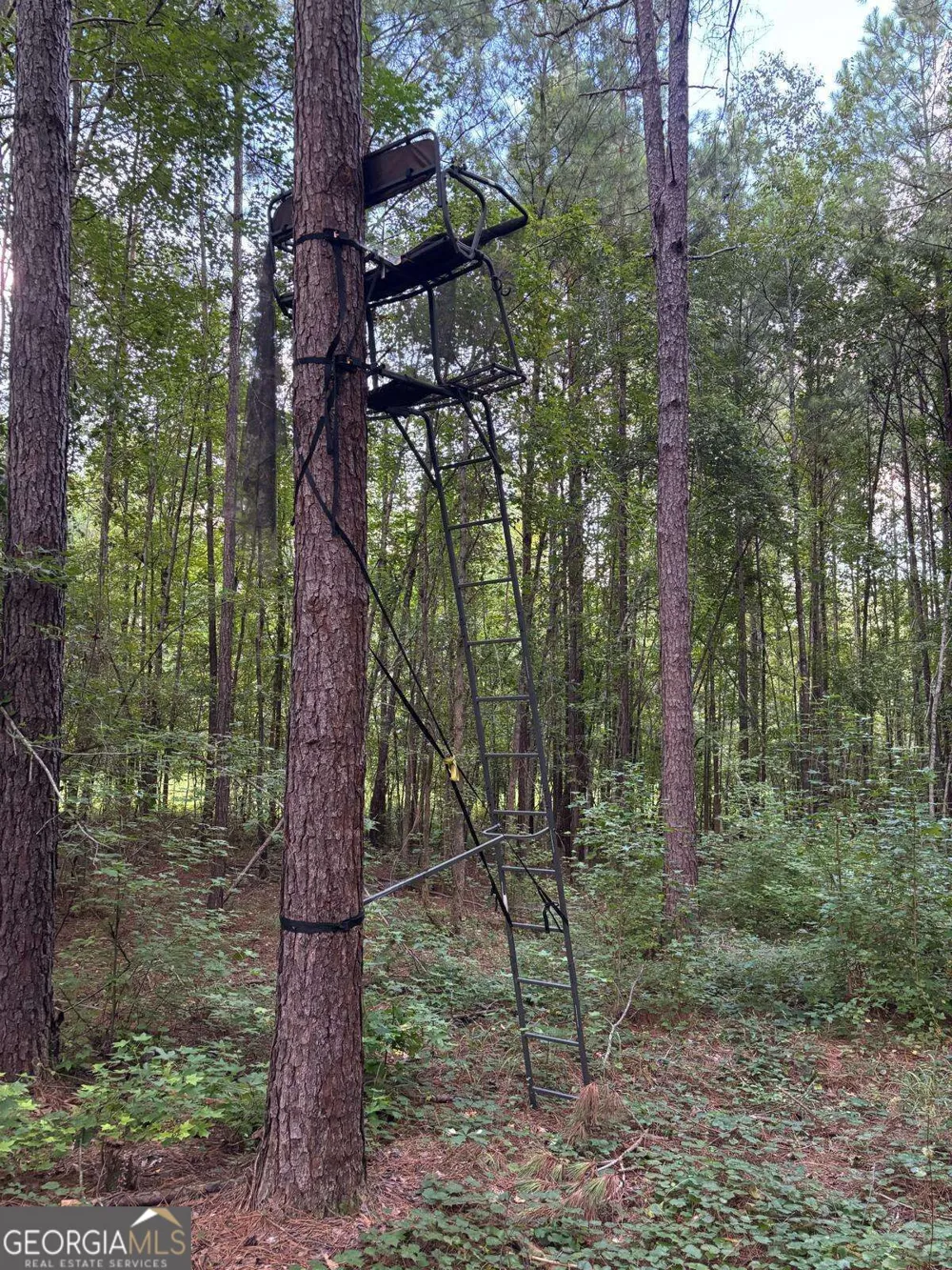 873 Oconee Forest RD Monticello, GA 31064