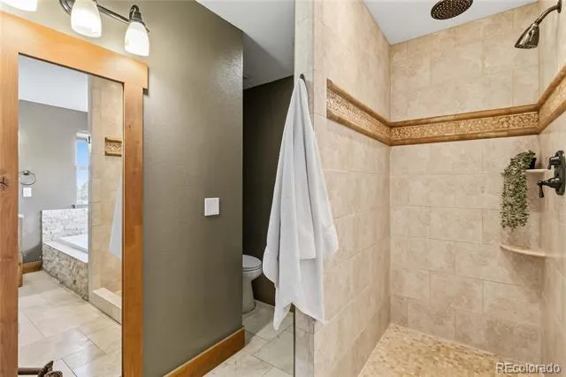 7289 S Ireland Way Centennial, CO 80016