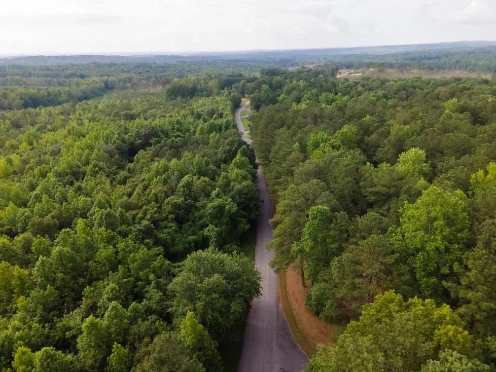 102 Clayton Drive Bremen, GA 30110