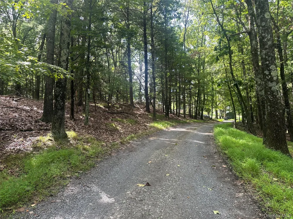 Cedar Drive Elizaville, NY 12523