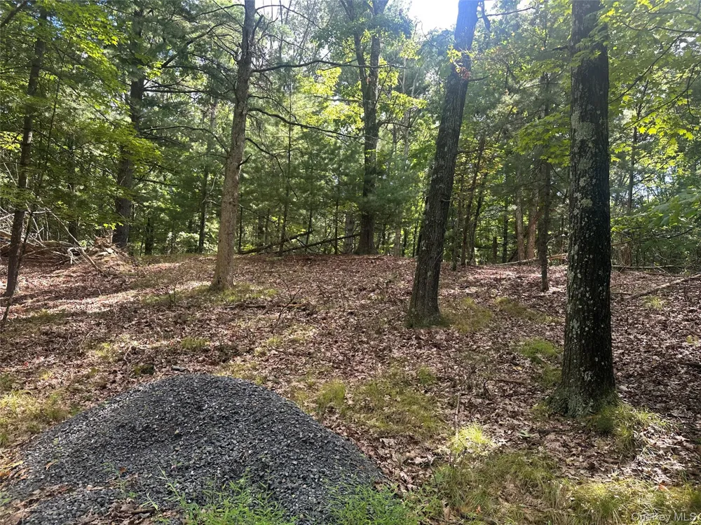 Cedar Drive Elizaville, NY 12523
