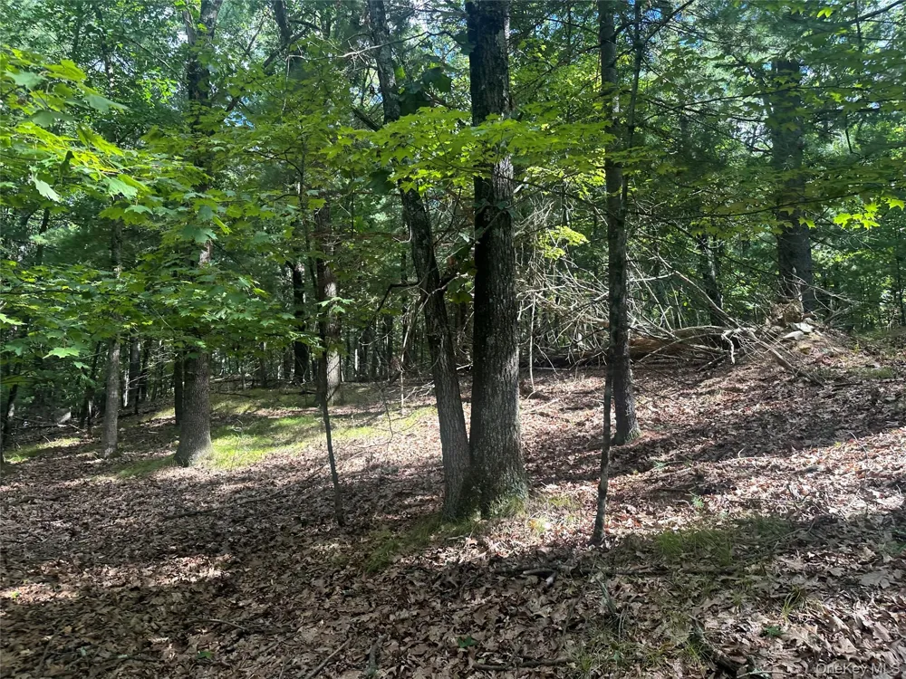 Cedar Drive Elizaville, NY 12523
