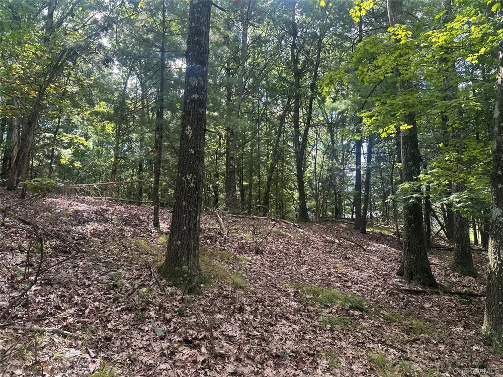 Cedar Drive Elizaville, NY 12523