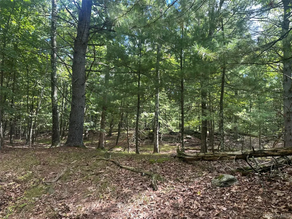 Cedar Drive Elizaville, NY 12523