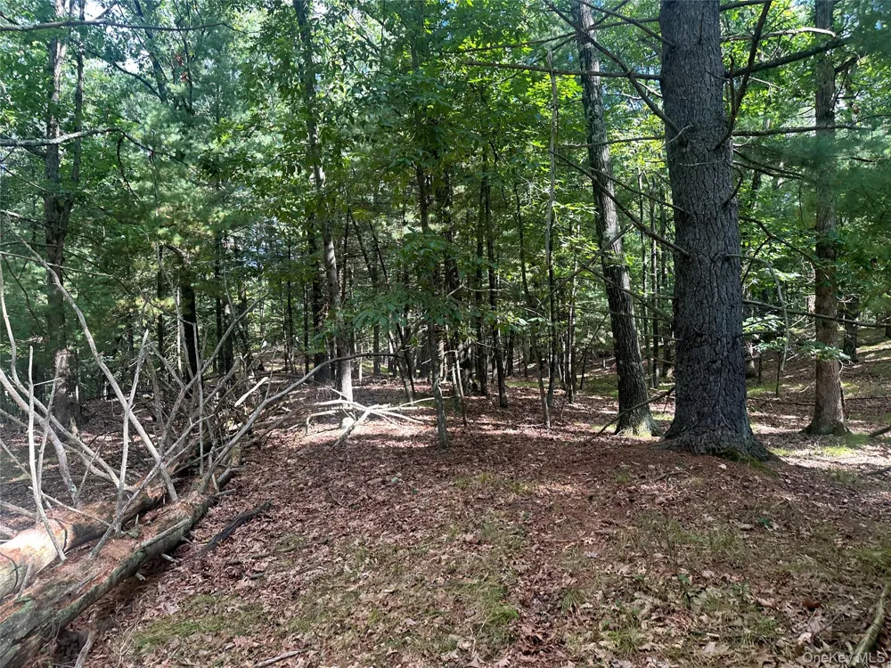 Cedar Drive Elizaville, NY 12523