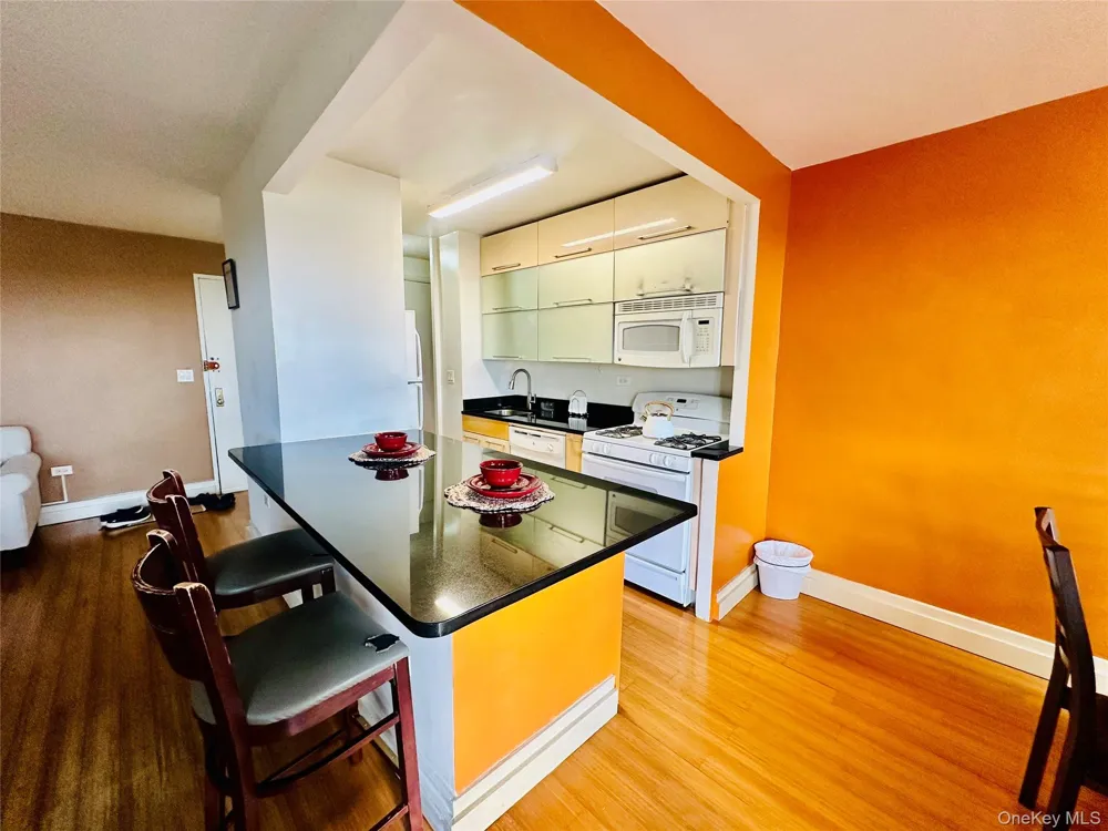 12399 Flatlands Avenue #8K Brooklyn, NY 11208