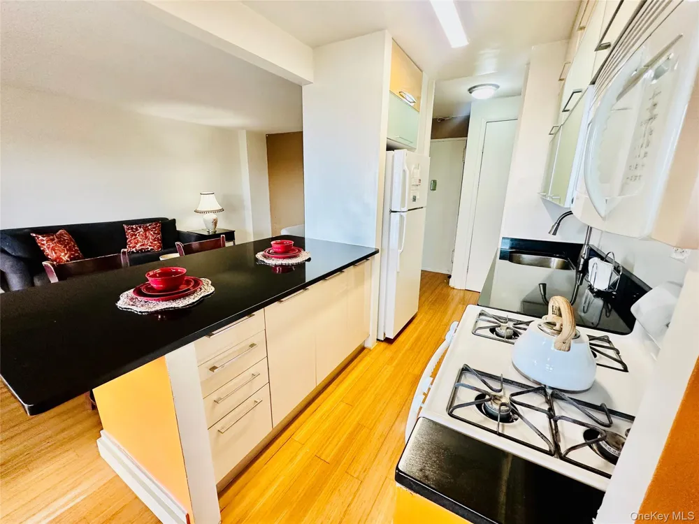 12399 Flatlands Avenue #8K Brooklyn, NY 11208