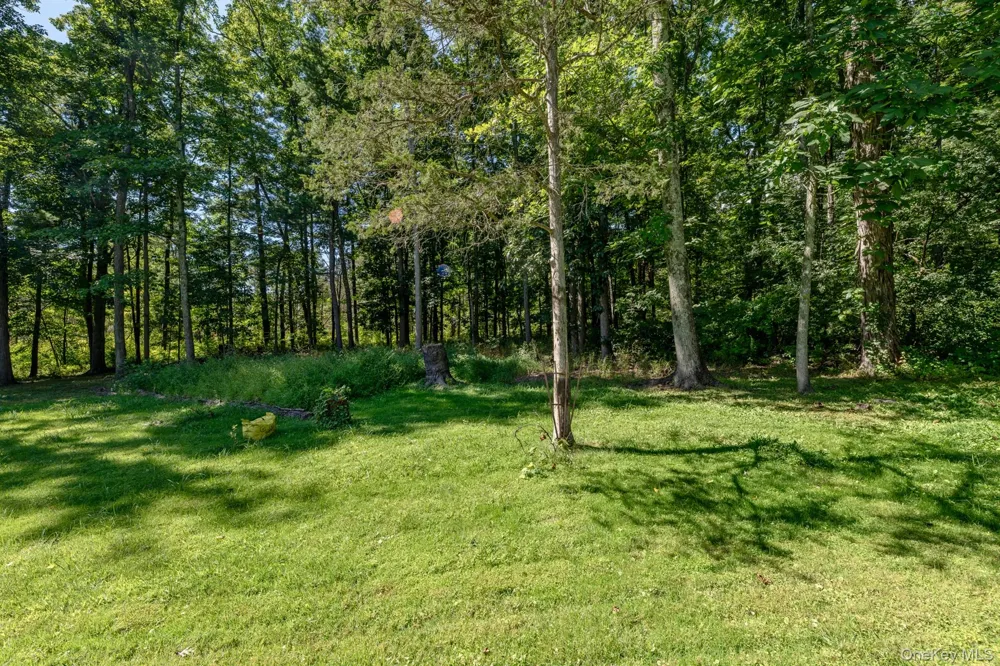 28 Buck Lane Saugerties, NY 12477